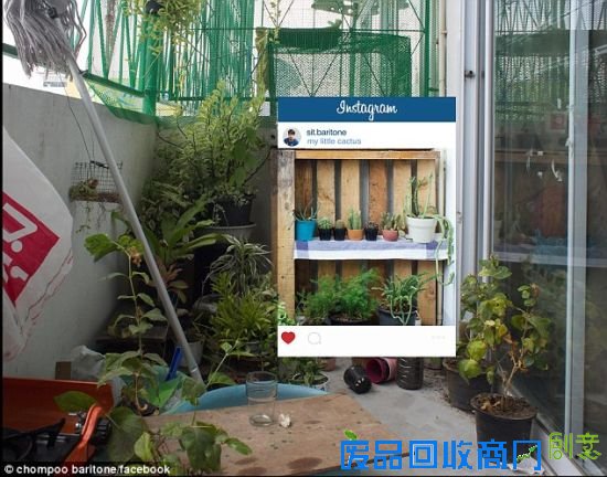 摄影师揭秘网络美照背后玄机