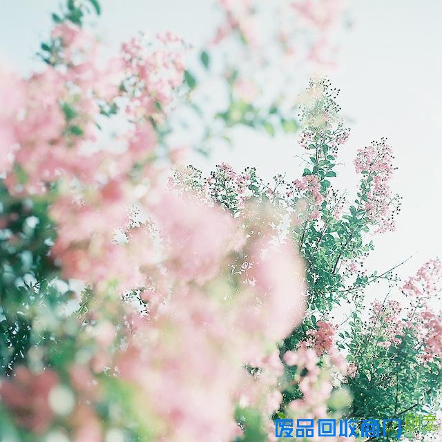 小清新日系伤感意境lomo唯美图片