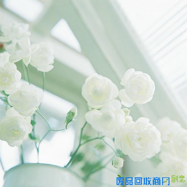 小清新日系伤感意境lomo唯美图片