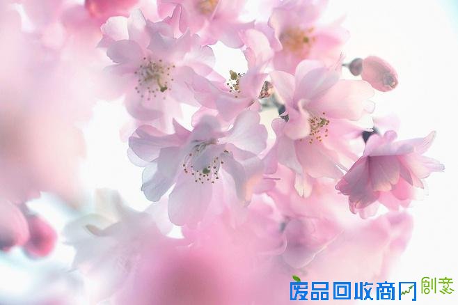 伤感意境lomo紫色迷情森系小清新图片