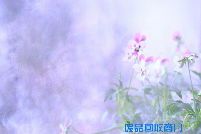 伤感意境lomo紫色迷情森系小清新图片