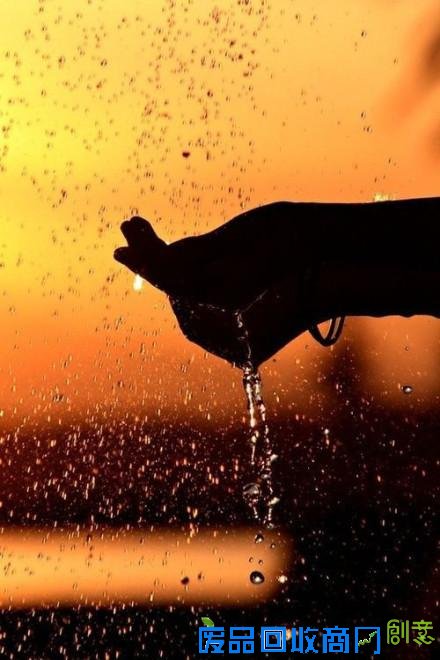 鲜花朵朵细雨蒙蒙清新森系的唯美摄影