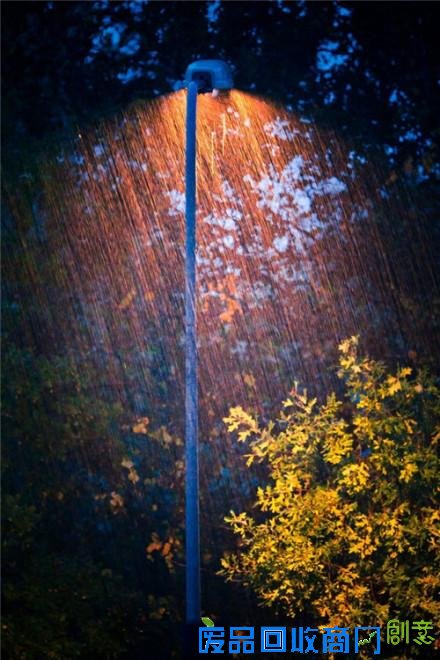 鲜花朵朵细雨蒙蒙清新森系的唯美摄影