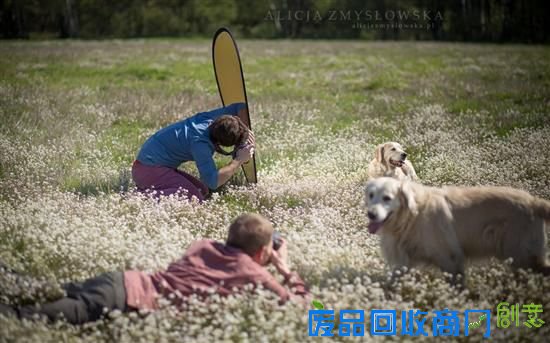 旺星人也能如此小清新 超唯美宠物摄影