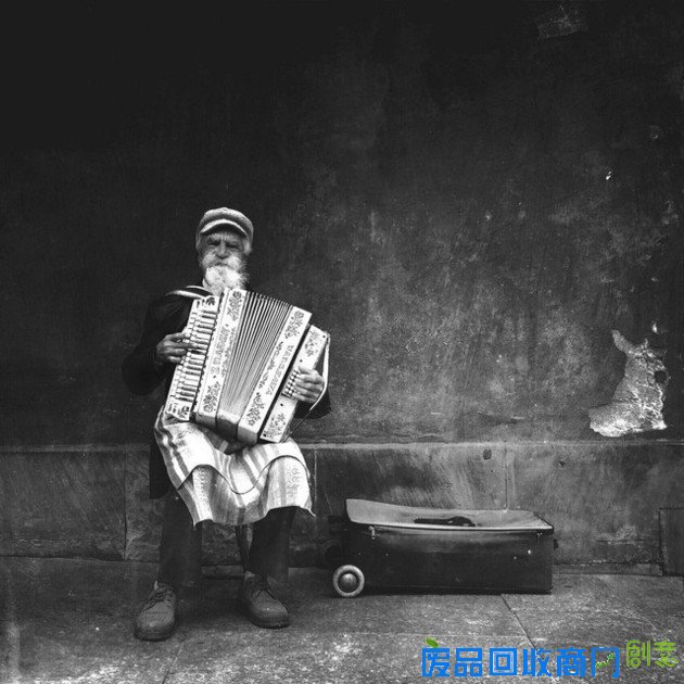 2015 iPhone摄影奖照片欣赏：美到无法直视