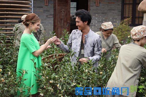 克欣诺娜田七采茶