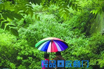 五一期间，北晚官网设在密云黑龙潭的新视觉京郊摄影基地春意正盎然，拍片刚刚好。有着三瀑十八潭的黑龙潭移步换景，辗转其间，山、峡、瀑、潭错落有致。经过30多年的修缮，区内栈道平坦，设施齐全，很受摄影爱好者的青睐。黑龙潭摄影基地挂牌两年来，已有上千位北晚新视觉网影友先后来此植树、拍片、采风。区外还有密云水库、京都第一瀑等景点以及主打全鱼宴的农家乐，很适合自驾一日游。