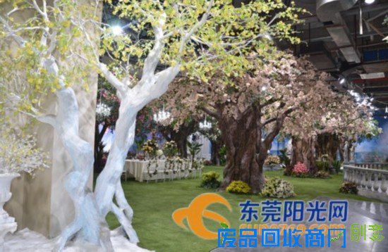 凤岗：投500万元开启“秘密花园”婚纱摄影基地再添新景