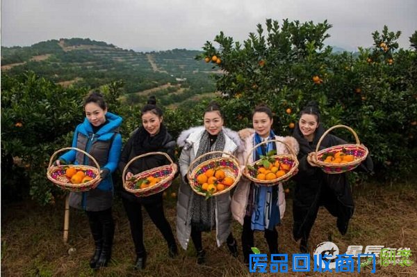 在脐橙园里,果农们挑着一担担金黄色的脐橙进行比拼,满满的都是丰收的喜悦,大家乐得不合拢嘴。 在脐橙园里,果农们挑着一担担金黄色的脐橙进行比拼,满满的都是丰收的喜悦,大家乐得不合拢嘴。