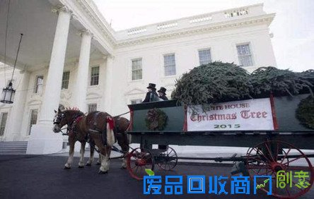 充满创意又不失传统 看白宫和英国王室怎么过圣诞