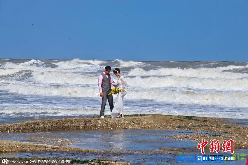 山东日照数百对新人大风浪背景下拍摄婚纱照