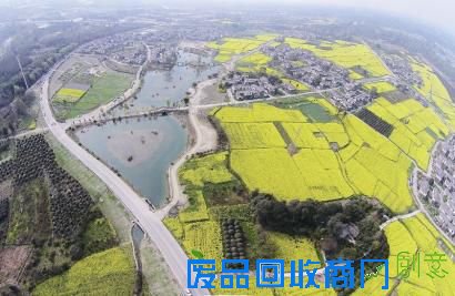 三等奖《锦绣田园》(李荣伟)