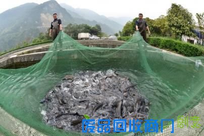 三等奖《收获》(王剑)