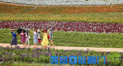 三等奖《春天的印象》(陈邦涛)