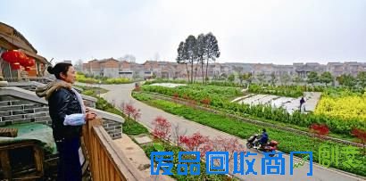 二等奖《家乡美》(汉娜)