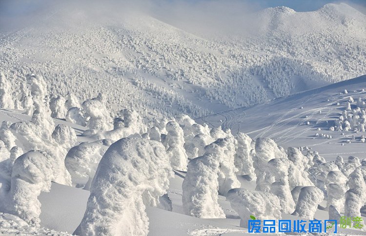 日本摄影师捕捉“天然雪人”奇景