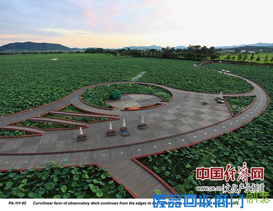 杨硕:以“互联网+艺术设计”来提升城市的文化