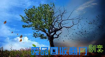 动漫电影《咕噜咕噜美人鱼》明日上映(图)