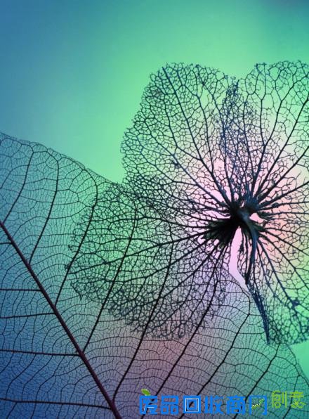 唯美意境伤感lomo个性忧伤意境图片