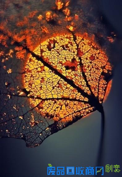 唯美意境伤感lomo个性忧伤意境图片