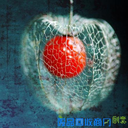 唯美意境伤感lomo个性忧伤意境图片