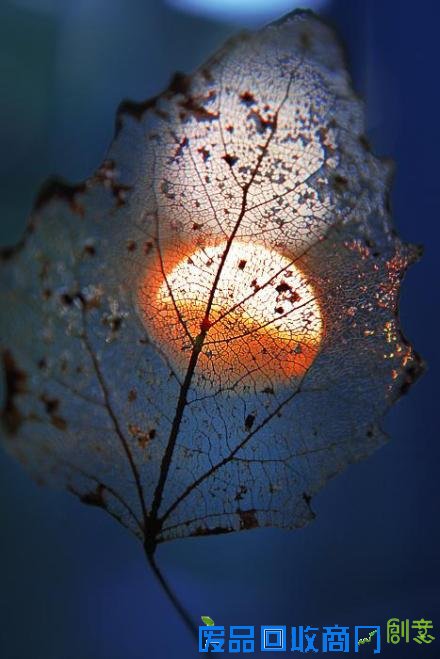 唯美意境伤感lomo个性忧伤意境图片