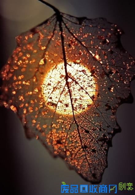 唯美意境伤感lomo个性忧伤意境图片