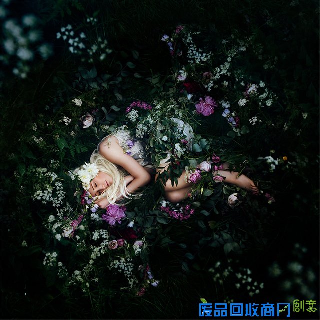 就像,盛开,花朵,像在,元素