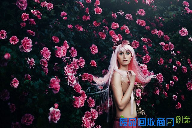 就像,盛开,花朵,像在,元素