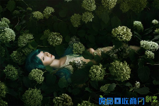 就像,盛开,花朵,像在,元素