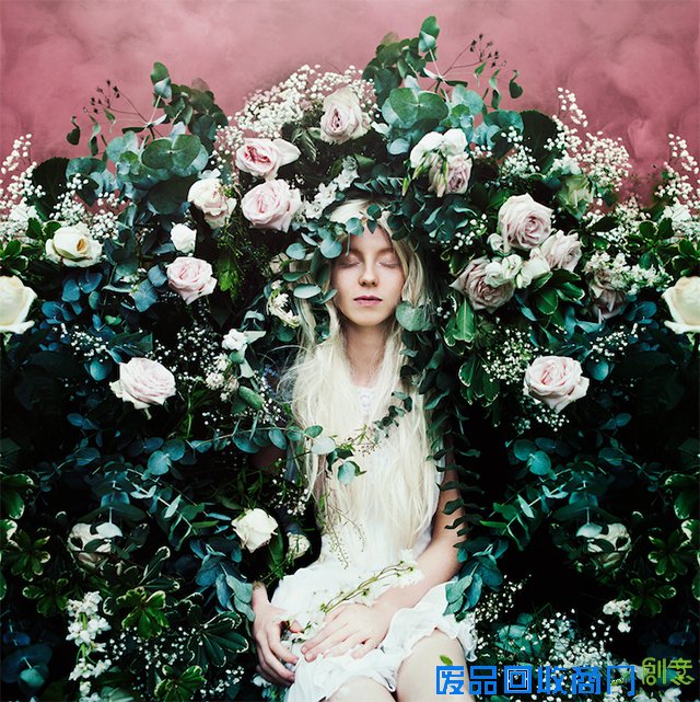 就像,盛开,花朵,像在,元素