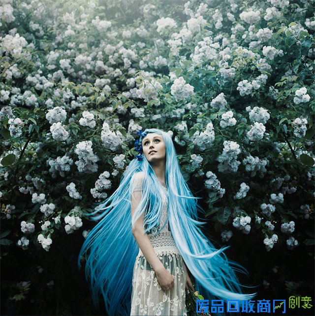 就像,盛开,花朵,像在,元素