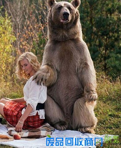 真实版美女与野兽！名模带萌娃与熊一起野餐