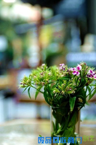 最近她常常会想起梓轩了 厦门雨墨婚纱摄影:墨蓝摄影:数码摄影论坛 柯达论坛