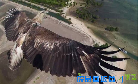 19张你绝不能错过的无人机拍摄的美图