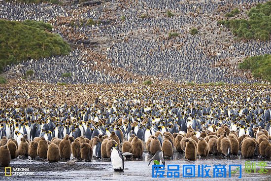 视觉：2015国家地理摄影大赛最新佳作