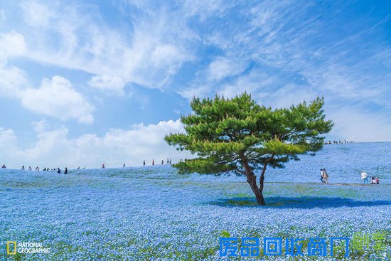 视觉：2015国家地理摄影大赛最新佳作