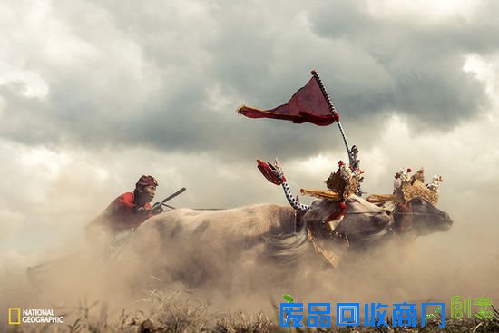 视觉：2015国家地理摄影大赛最新佳作