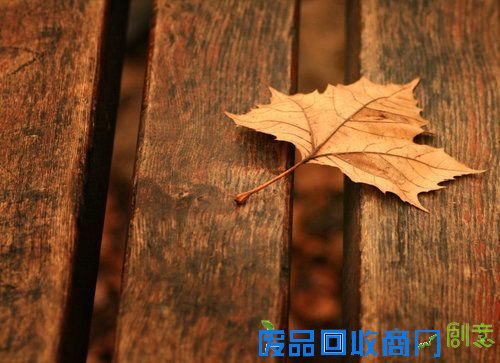 唯美意境图片:把自己当作一片落叶