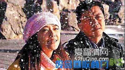 电视剧纯真的年代剧情介绍演员表