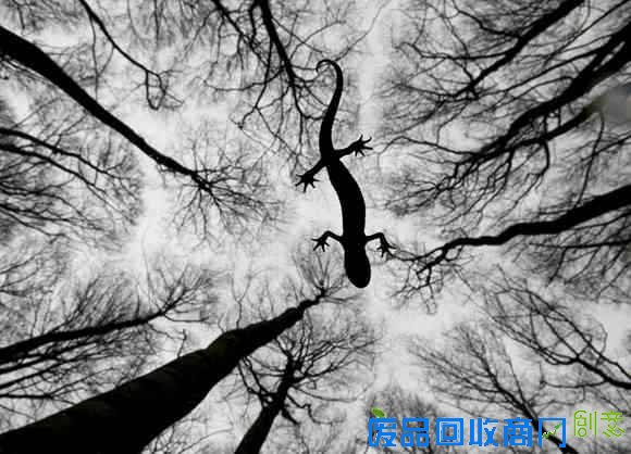 11ebe1373c7e45558f26b55ae0233abe