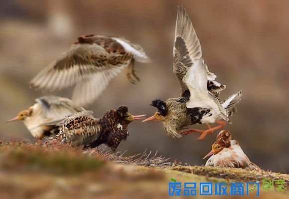 aab9ee78d9024514bf7ffa0f3716dc05