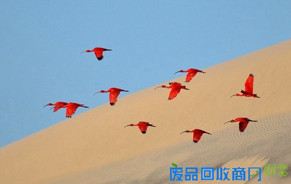 4735ebd6cb05495ca9d3e5cab7935a83