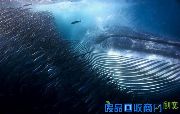 47acbe9867f545cca1fdc2a774901575