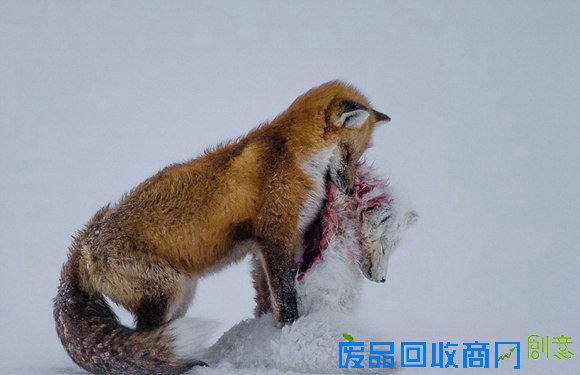 508d51238823426a9dcb4349dd32e127