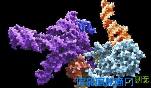 他们使用了一种名叫“结构比较法”的技术，通过电脑建模，模拟了核糖体的演变过程。此外，随着时间的推进，核糖体的附加片段也在不断增加。对这些附加片段的研究显示，核糖体中的“分子指纹”可以告诉我们这些片段被插入的时间，帮助研究人员更好地了解核糖体的演变过程
