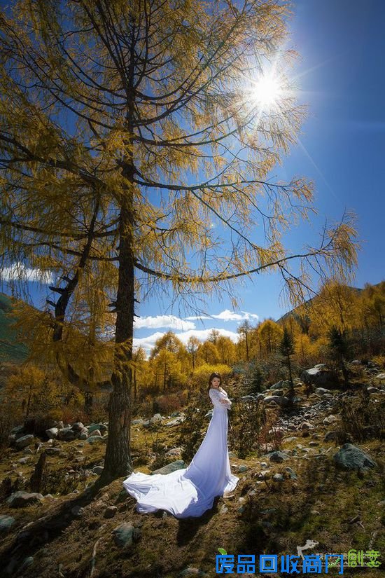 清新氧气美女 ZOL人像摄影论坛精选集