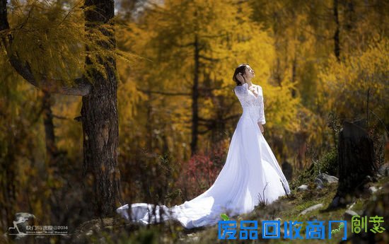 清新氧气美女 ZOL人像摄影论坛精选集