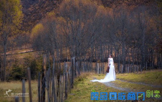 清新氧气美女 ZOL人像摄影论坛精选集