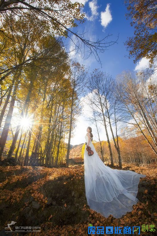 清新氧气美女 ZOL人像摄影论坛精选集